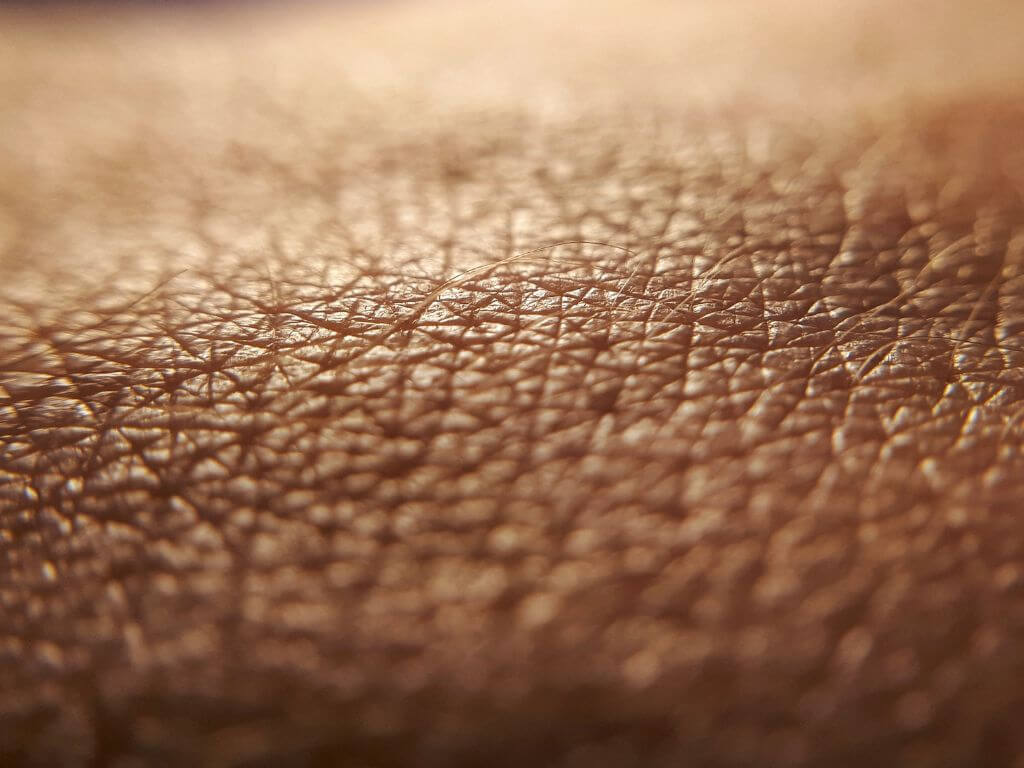 Close-up of healthy African skin texture showing detail and hydration before menopause skin changes.